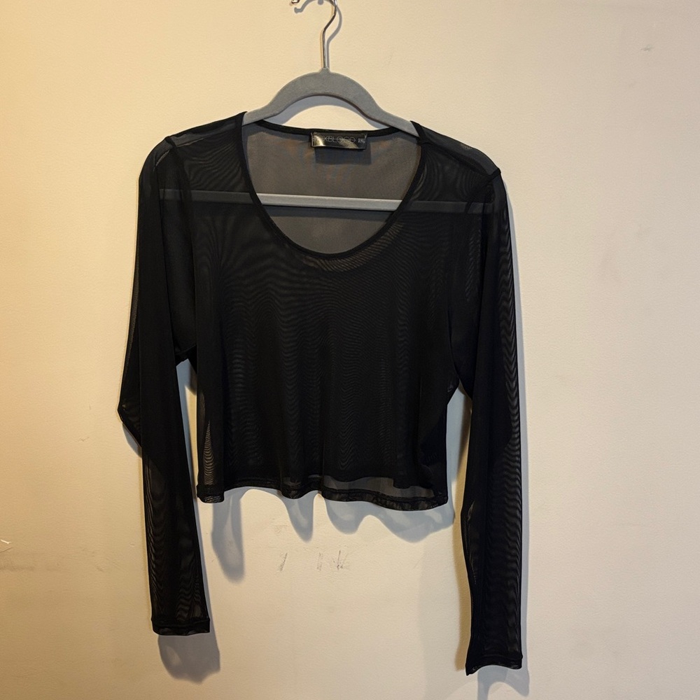 Foxblood Scoopneck Crop Mesh Long Sleeve Top